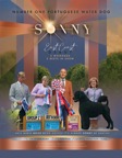 Sonny_1pg_DN_PostWKC.jpg
