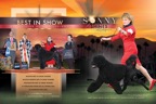 Sonny_2pg_DN_01.jpg