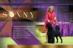 Sonny_2pg_DN_02.jpg