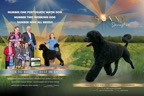 Sonny_2pg_DN_01