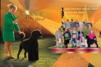 Sonny_2pg_DN_01.jpg
