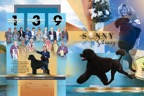 Sonny_2pg_CC_01.jpg